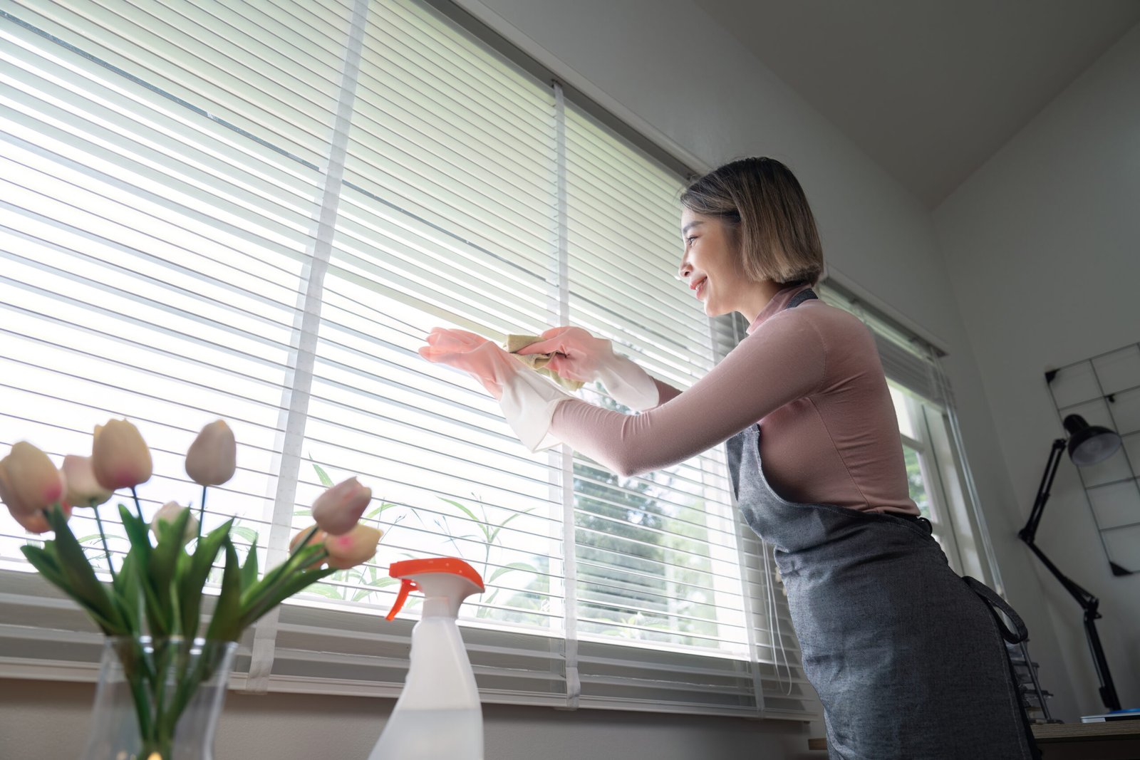 žena čisti venecijanere